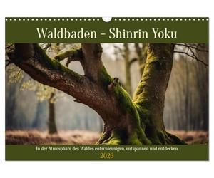 Waldbaden - Shinrin Yoku (Wandkalender 2026 DIN A3 quer), CALVENDO Monatskalender: In der Atmosphäre des Waldes entschleunigen, entspannen und entdecken