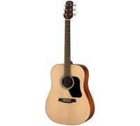 Walden D450 Standard