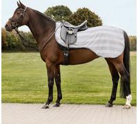 Waldhausen Coperta Antimosche da Passeggiata Economic, Grigio Argento - Cob