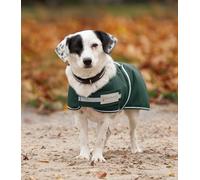 WALDHAUSEN - Coperta per cani Comfort, 200 g, colore: Verde abete / asfalto, 65 cm