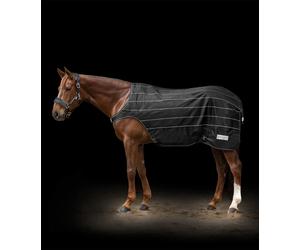 Waldhausen Coperta Riflettente per Giostra, Nero/Grigio Argento - 145 cm