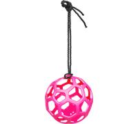 Waldhausen Palla per il Fieno 22 cm - Rosa