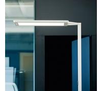 Waldmann Piantana LED Yara.single 4.000K, BT, LTX, argento Waldmann