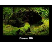 Waldzauber 2026 Fotokalender DIN A3: Monatskalender mit Bild-Motiven aus Fauna und Flora, Natur, Blumen und Pflanzen