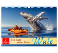 Wale - ein Jahr voller Meer (Wandkalender 2027 DIN A3 quer), CALVENDO Monatskale