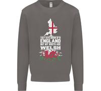 Wales Le Mie Radici Sono Scozzesi Uomo Felpa Maglione