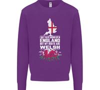 Wales Le Mie Radici Sono Scozzesi Uomo Felpa Maglione