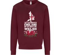 Wales Le Mie Radici Sono Scozzesi Uomo Felpa Maglione