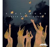 waley-cohen: spell book