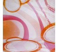 Walimex 16824 kit per macchina fotografica