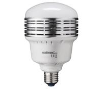 Walimex Pro LED Lampe LB-25-L für Foto/Videoaufnahmen/Schaufenster (E27 Sockel, 25 Watt, 2500 Lumen, 5500K, entspricht Tageslicht, flackerfrei)
