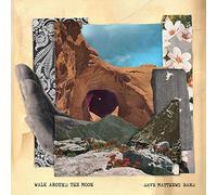 Dave Matthews Band Walk Around The Moon (Vinyl LP) 12" Album