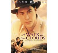 Walk in the Clouds