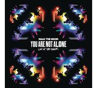 Walk the Moon You Are Not Alone at the Gree