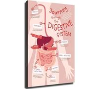 Wall Art Canvas Prints - Digestive System Educational Chart Poster - Human Anatomy Science Decor for Classroom and Study Room(Framed,16x24inch(40x60cm))