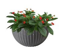 Wall Flower Pot - 26 x 20,5 cm Imitation Rattan Semicircolare Structure, Breathable Decorative Planter, Space Saving Hanging Display | Balcony Patio Fence Garden Farmhouse Apartment Greenery Styling
