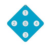 Wall Mounted Fencing Target - Home Practice Tool, Five Bulls Eye Fencing Target for Skill Improvement, Training Aid for Child and Adult Fencers, Home Auxiliary Equipment