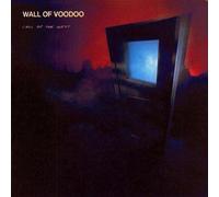 Wall of Voodoo - Call Of The West