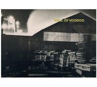 WALL OF VOODOO - same LP