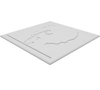 Wall Plaque of Bob Dylan - 3D Printed Tarantula Book Cover Portrait Display