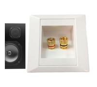 Wall Speaker Wire Plate - Banana Plug Compatible, Secure and Reliable Connection, Premium Gold Finish | Two Socket for Home, Office, Audio System, Entertainment Setup