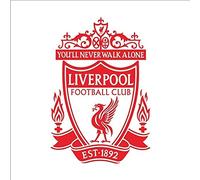 Wall Sticker Art Wall Decal 3D Liverpool Autoadesivo Football Club 58X85Cm