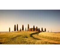 WALL STICKERS ADESIVI TROMPE L'OEIL QUADRO MODERNO ARREDO AFFRESCO COLONNE MARE