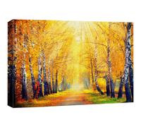 wall26 Canvas Print Wall Art Sunlight Shine Over Yellow Autumn Forest Path Nature Wilderness Photography Modern Art Rustic Scenic Colorful M
