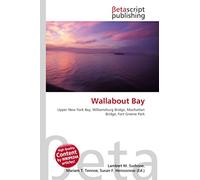 Wallabout Bay: Upper New York Bay, Williamsburg Bridge, Manhattan Bridge, Fort Greene Park