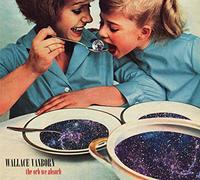 WALLACE VANBORN - ORB WE ABSORB
