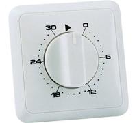 Wallair 20100249 Timer da incasso analogico Giornaliero 3680 W IP20 2 poli
