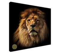 Wallazz Quadri Moderni Soggiorno Animali, Tigri, Leoni, Elefanti, Leopardi - 100% Made in Italy - Stampa HD su Tela Canvas - Quadro Camera da Letto - Qualità Artigianale - 80x80cm