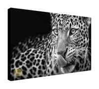 Wallazz Quadri Moderni Soggiorno Animali, Tigri, Leoni, Elefanti, Leopardi - 100% Made in Italy - Stampa HD su Tela Canvas - Quadro Camera da Letto - Qualità Artigianale - 60x120cm