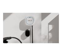 Wallbox Kfw Select Electric Car Charger 5 M Trasparente