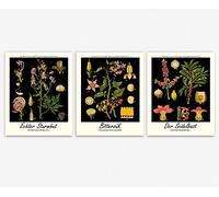 Wallbuddy Nero Moderno Stampe Botaniche Poster Da Parete - Contemporaneo Design Elegante Poster Insieme Di 3 - Illustrazione Botanica Decorazioni Casa per Regalo Estetica Arte Decorazioni (11 x 14)