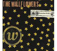 Wallflowers - Bringing Down the Horse