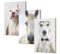 Wallfluent Arte da Parete Moderna Polycanvas 30x20 cm - Quadro in 3 Parti Idea Decorativa Minimalista per Interni - Interessanti ritratti di cani e cavalli in uno stile elegante