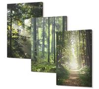Wallfluent Set Quadri da Parete Polycanvas 30x20 cm - Decorazione Casa Salotto Arte Moderna in 3 Moduli - Foreste verdi con raggi di luce e un sentiero nel bosco