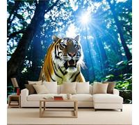 Wallpaper For Living Room tigre Carta Da Parati Per Camera Da Letto Natura selvaggia degli animali 300x256cm Sfondo murale decorativo moderno arte murale 3D salotto camera da letto bambini
