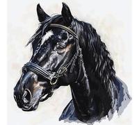 Wallphantom animale Kit Cuscino Punto Croce Prestampato,Un cavallo nero,Cuscino da Tiro Fai da Te Ricamato,Kit per Ricamo Completi Decorativo Casa,45x45cm