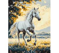 Wallphantom animale Kit da Ricamo Tappeto Fai da Te Fare,Cavallo bianco,Latch Hook Rug Kit per Adulti,Fabbricare Tappeti a Punto Croce,per Decorazione Casa,60x90cm