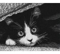 Wallphantom animale Kit Gancio di Chiusura Tappeto,Un simpatico gatto bianco e nero,Tappeto Annodare Fai da te Creativo,Uncinetto Kit Arazzo,Fabbricare Tappeti a Punto Croce,90x120cm