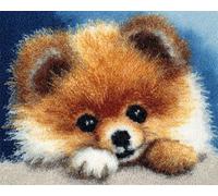 Wallphantom Cane Animale Diy Kit Per Fabbricare Tappeti Kit Ganci Di Chiusura,Carino Pomerania,Ganci Di Chiusura Per Adulti Principianti,Appassionati Del Per La Realizzazi,52x38cm