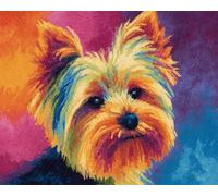Wallphantom Cane Animale Kit da Ricamo Tappeto Fai da Te Fare,Carino Yorkshire Terrier,Latch Hook Rug Kit per Adulti,Fabbricare Tappeti a Punto Croce,per Decorazione Casa,90x120cm