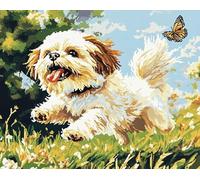 Wallphantom Cane animale kit per dipingere su tela con i numeri,shih tzu e farfalla,Dipingi con i Numeri per Adulti,Decora la casa Regalo,con Vernici e pennelli,40x50cm con cornice