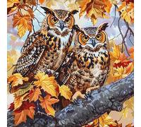 Wallphantom Dipingere con i Numeri Adulti,gufo sul ramo di un albero,DIY Kit per dipingere con i numeri,Decorazioni per la casa per regali di compleanno e Natale,50x50cm Senza Cornice