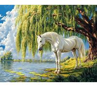 Wallphantom DIY Dipinto ad Olio Dipingere con i Numeri Kit su Tela,Cavallo bianco sotto il salice,Kit di Pittura Acrilica per Adulti,Decora la casa Artigianato,40x50cm con cornice
