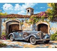 Wallphantom Kit di Bloccaggio a Punto per Adulti,Camion retrò davanti al cortile,3D Latch Hook rug Kit,Tappeto da Bricolage Crochet Principianti,Eegalo Creativo per la casa,60x90cm