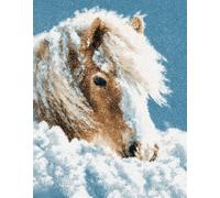 Wallphantom Kit Gancio di Chiusura Tappeto,Cavallo bianco animale,DIY appeto per Uncinetto Latch Hook Rug Kit Eegalo Creativo per la casa e il divano,60x90cm