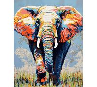 Wallphantom Kit Gancio di Chiusura Tappeto,Elefante animale,Tappeto Annodare Fai da te Creativo,Uncinetto Kit Arazzo,Fabbricare Tappeti a Punto Croce,55x75cm